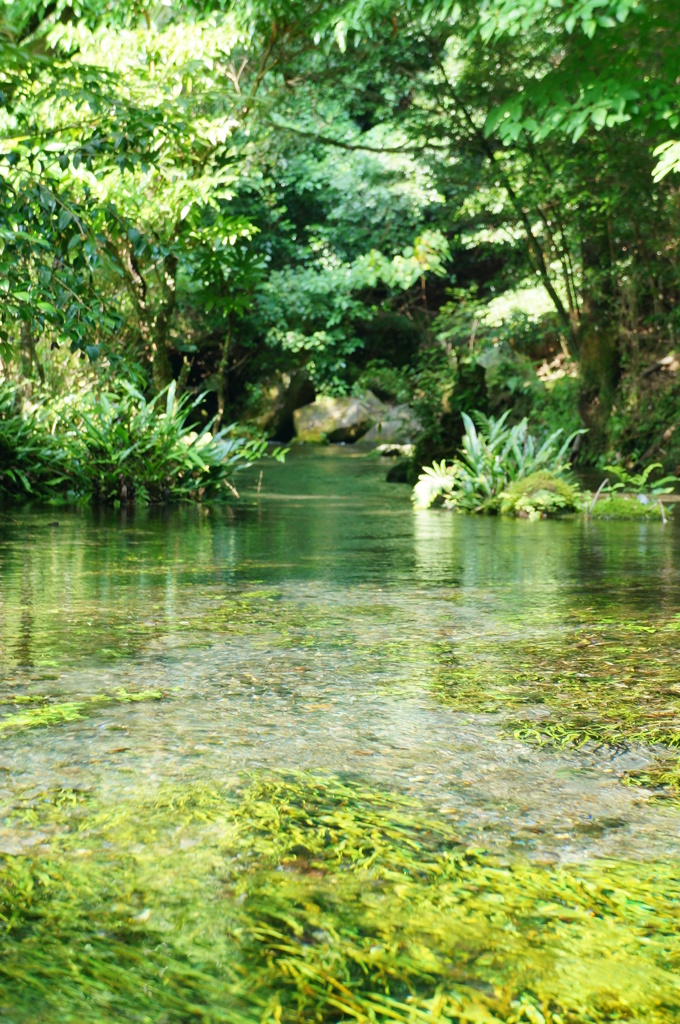 御手洗川