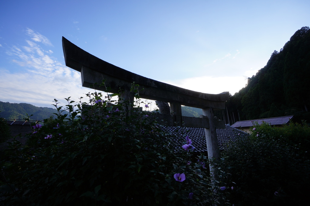 夕方