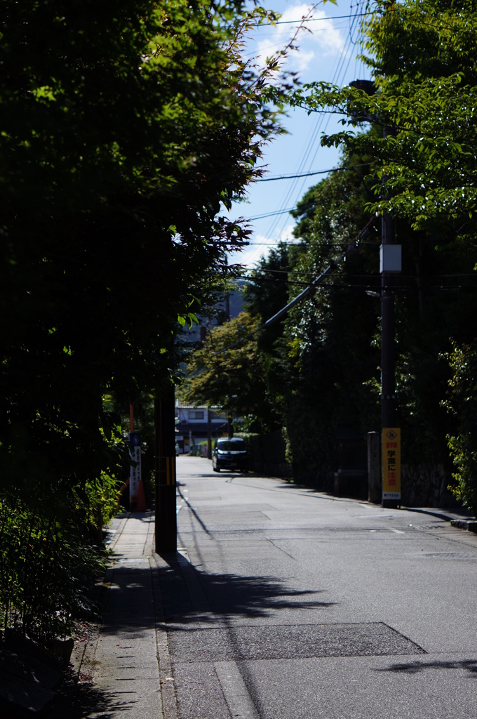 夏真っ盛り