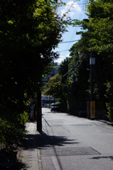 夏真っ盛り