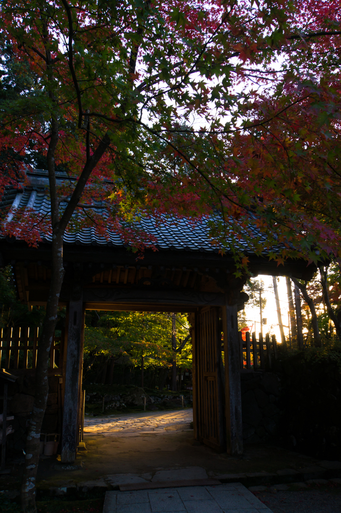 門