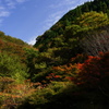 山