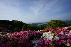 花岬