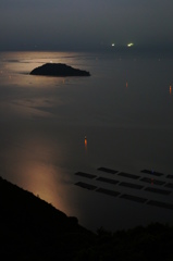 moon light sea stars
