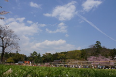 春来たる