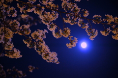 月が輝く頃