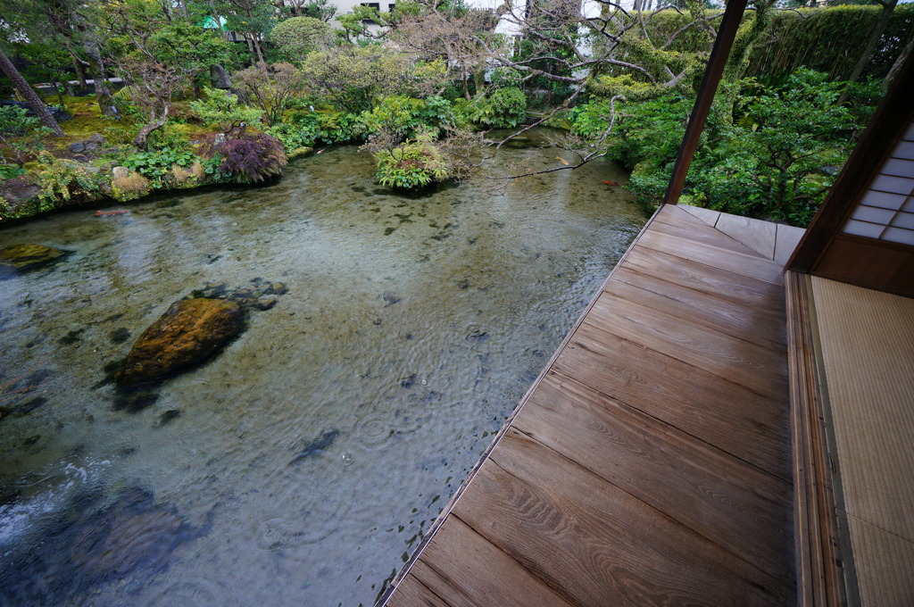 水庭