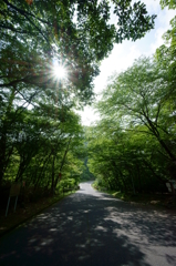 夏道