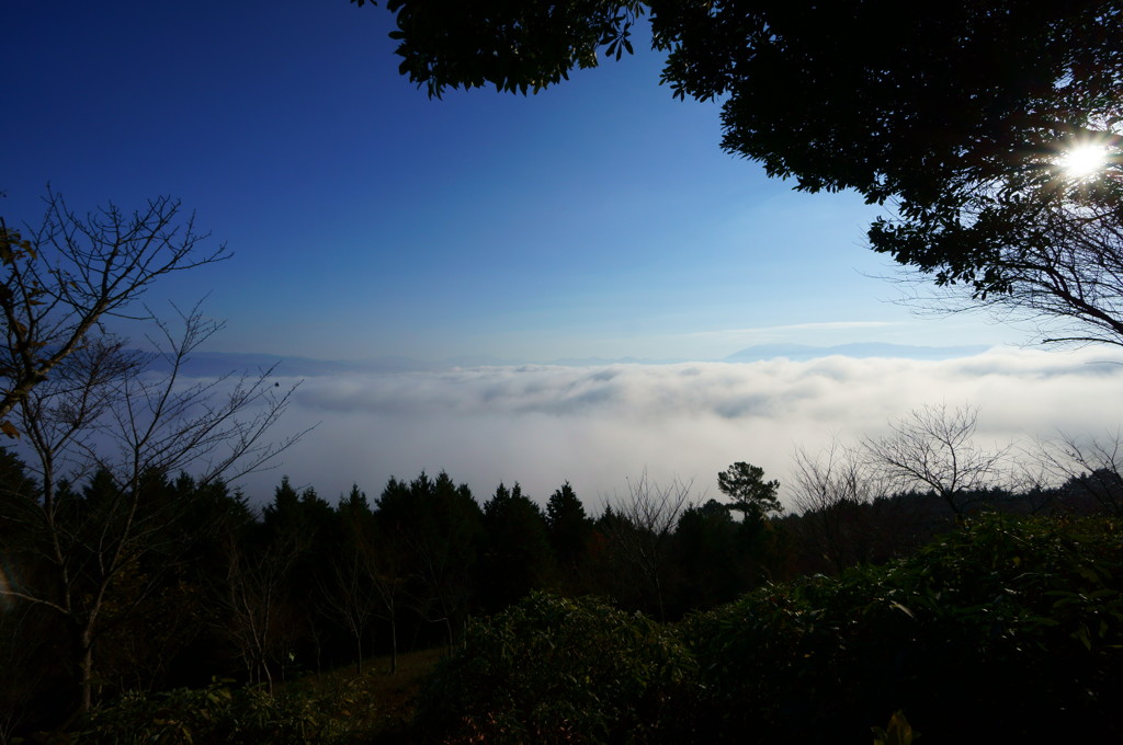 雲の海