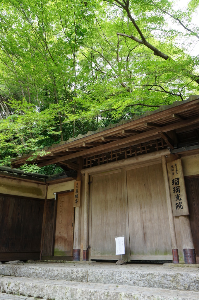 新緑と門