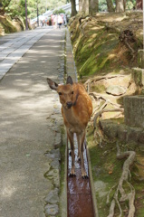 なんですか！あなたは！