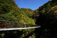 緑