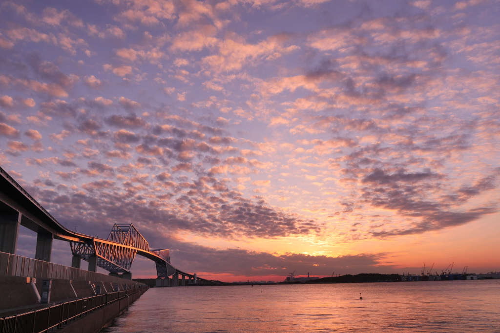 ゲート、夕陽に照らされて