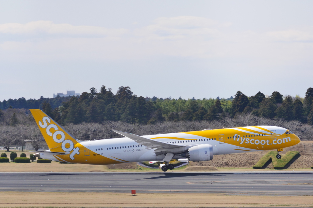 scoot 787