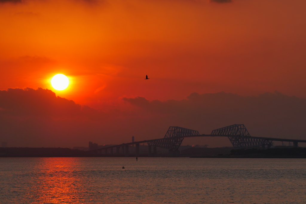 夕陽を渡して