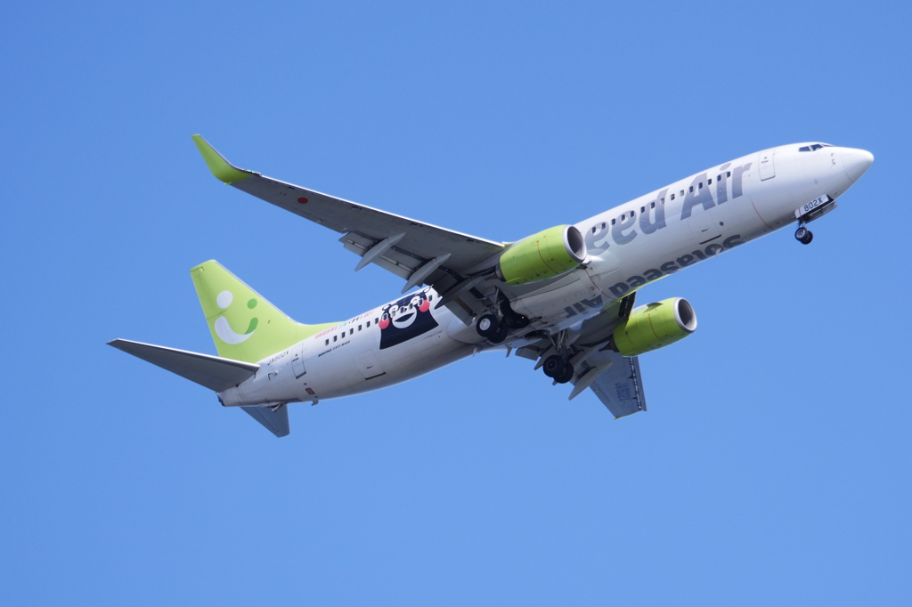 737 くまモン