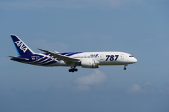 B787 JA802