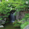 西新井大師1