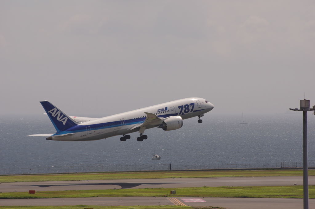 ANA 787