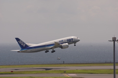 ANA 787