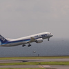 ANA 787