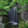 西新井大師2