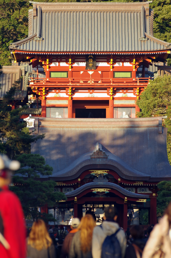 鶴岡八幡宮