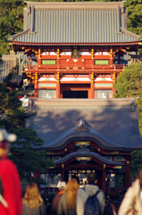 鶴岡八幡宮