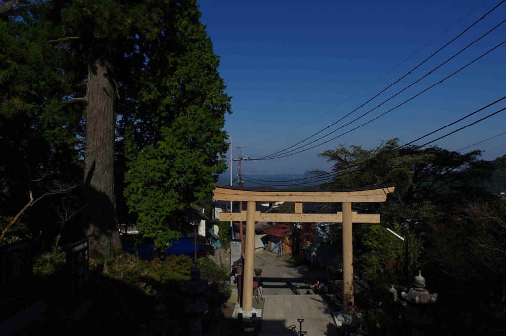 情緒