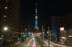歩道の上から