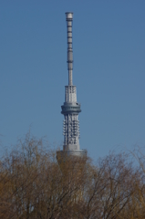 東京スカイツリー＠上野恩賜公園