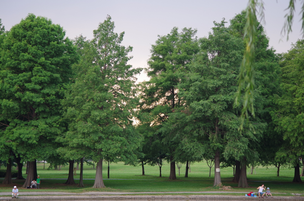 舎人公園