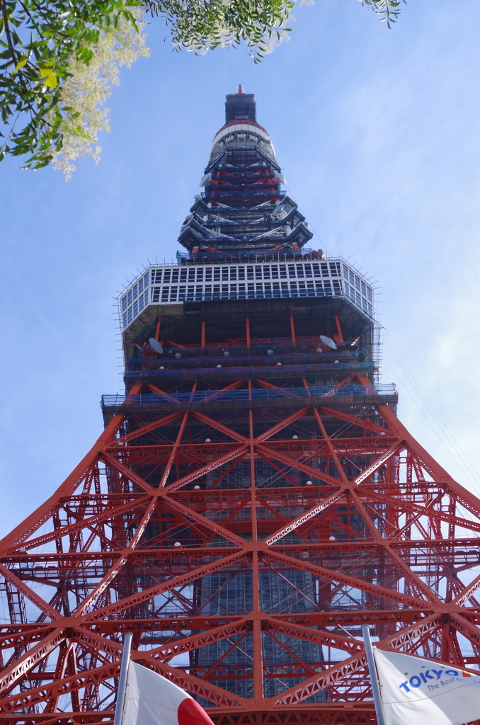 東京タワー