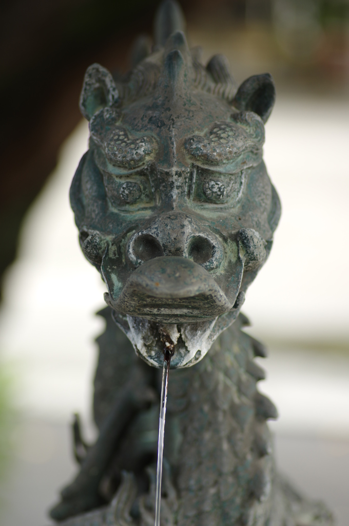 手水の龍