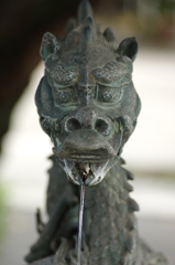 手水の龍