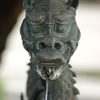 手水の龍