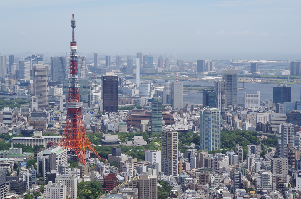 東京タワー