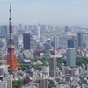 東京タワー