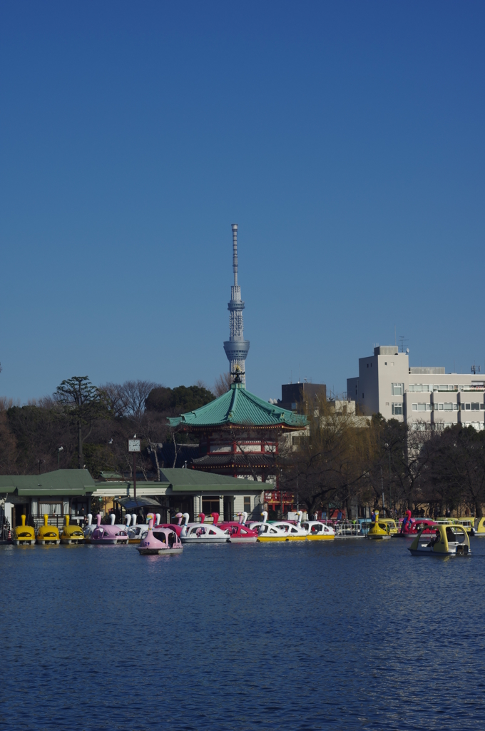 東京スカイツリー+弁天堂