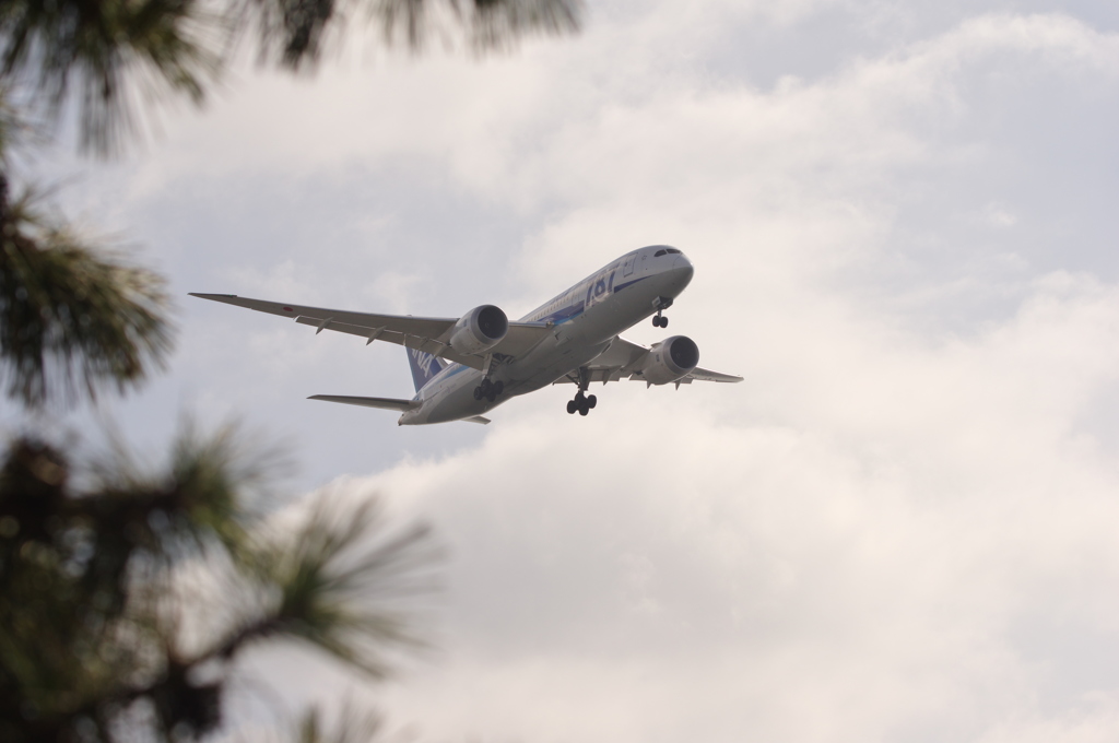 ANA　787