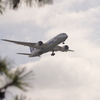 ANA　787