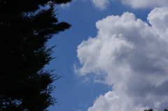 空