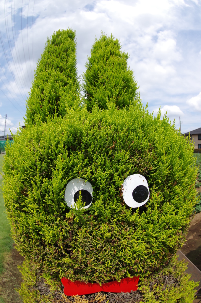 トピアリー 
