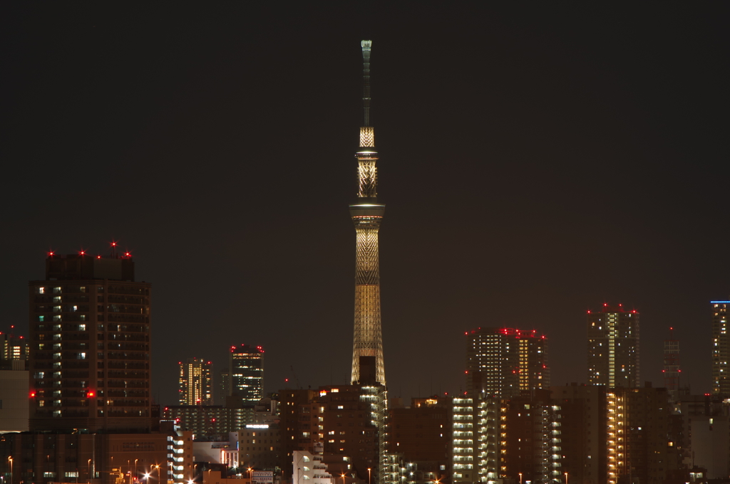 ブラウンショコラ