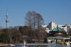 東京スカイツリー＠上野恩賜公園
