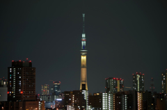 2020東京オリンピックへ！