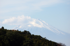 明月院から見た富士山