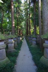 平林寺
