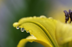 水滴