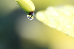 雨上がり